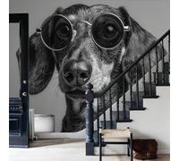 WunM Studio Dachshund portrait Fabric Wallpaper black Funny animal dog surrealist style Texture Mural Living Room 200x140cm 78" H x 55.1" W (Not Peel and Stick)