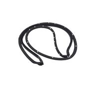 WUPEDI Window Door Seals Rubber Seal Strip, for, for Montero for Pajero 3 4 for MK3 for MK4 V73 V75 V77 V78 V93 V97 V98 Car Door Rubber Seal Strip(Black Front Left)