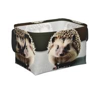 WUPngg Cute hedgehog Print Collapsible Storage Bins Waterproof Fabric Basket, Organization for Home, Office 15"x9.8"x9.8"