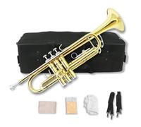 WUQIMUSC Standard Bb Trumpet Set for Beginners, Student Trumpet, Brass Trumpet Instrument, B Flat, with 7C Mouthpiece, Cleaning Cloth, Gloves and Hard Carrying Case (gold)