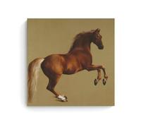 WurBu George Stubbs Painter Works《Whistlejacket》Printed Posters Picture Print Wall Art Painting Canvas Artworks Gift Idea Room Aesthetic 24x24inch(60x60cm)