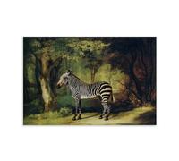 WurBu George Stubbs Painter Works《Zebra》Printed Posters Art Print Wall Photo Paint Hanging Picture Family Bedroom Decor Gift 12x18inch(30x45cm)