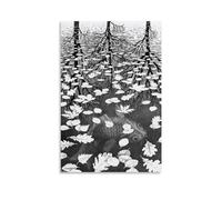 WurBu M.C. Escher Painter Artwork【Three Worlds】 Printed Posters Artworks Canvas Room Aesthetic Wall Art Prints Home Modern Decor Gifts 16x24inch(40x60cm)