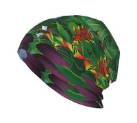 WURTON Fashion Streetwear Outdoor Parisian Dachshund Print Beanies Hat Adult Stretch Skull Cap Warm Casual Knit Hat, Macaw and Toucan Perching of American Rainforests, One size