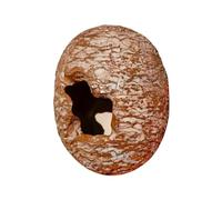 Wusideday Leopard Gecko Hide - Resin Dinosaur Egg Shape Crested Gecko Hide - Pet Furniture for Bedroom Desert Nest Corner Living Room Terrarium Burrow