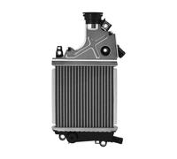 WUTBHGQXWIP Radiator Cooler Cooling Compatible With Honda PCX160 PCX125 2021-2024 PCX 150 2022