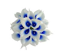 Wuudi 20pcs Calla Lily Bridal Wedding Bouquet head Latex Real Touch Flower Bouquets (Blue core white)
