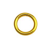 Wuuycoky Golden 1.5" Inner Diameter O-rings Rings Non Welded Strap Adjuster Webbing Belts Buckle Pack of 10