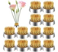 WUWEOT 12 Pack Flower Frog Holder, 23MM Kenzans Round Flower Arranger Mini Frog Floral Frog Pins, Flower Pin Holder Fixed Tools for Small Vase Ikebana Decoration Supplies