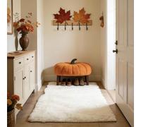 WUXXIANG Shaggy Rug 63 x 140 cm Anti Slip, Shaggy Soft, Elegant, Easy to Clean, Non-Shedding, Washable Area Rugs for Bedroom for Bedroom, Living Room, Kitchen, Bedside, Hallway, White