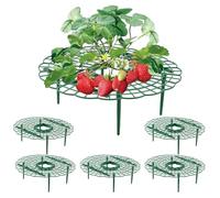 Wuyue Hua 5 Pack Strawberry Growing Stand Strawberry Fruit Protection Support Stand Strawberry Plant Growing Stand