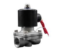 WVRWFDLW 1PCS DC24V DC12V Valve Solenoid Valve Normally Closed Water Valve 304 Stainless Steel 1/4" 3/8" 1/2" 3/4" 1" 2"(Dc12v-viton,1.25 Inch)