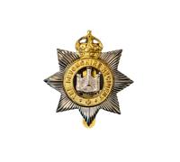 WW2 Repro British Devonshire Regiment Beret Cap Badge