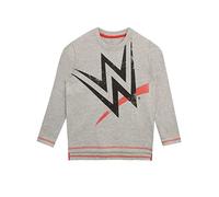 WWE Boys Sweatshirt Grey 5-6 Years