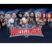 WWE Intercontinental Championship Ladder Match