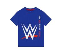 WWE T Shirt, Short Sleeve Boys T Shirts, Fun Wrestling Boys Clothes, Blue, 11-12 Years