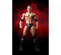 WWE The Rock Dwayne Johnson (Wrestling) S.H. SH Figuarts Figure Tamashii Nations