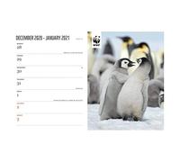 WWF, Amazing Wildlife A5 Deluxe Diary 2021