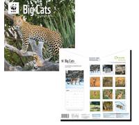 WWF Big Cats 2026 Calendar, Square Size 30 x 30 cm, Plastic Free Packaging