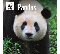 Wwf Pandas Square Wall Calendar 2026