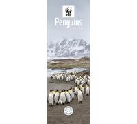 WWF Penguins 2026 Slim Wall Calendar