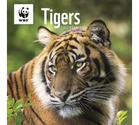 Wwf Tigers Square Wall Calendar 2026