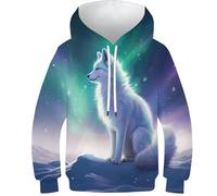 WWJLRLXTO Arctic Fox 3D Printed Fox Pullover Hoodie Hooded Sweatshirt Boys Girls Hoodie with Pocket for 6-16 Years 8-10Y