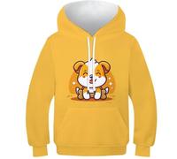 WWJLRLXTO Cute Dog Hoodies 3D Boys Girls Novelty Dog Pullover Sweatshirts with Pocket for 6-16 Years 6-7Y