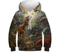 WWJLRLXTO Dinosaur 3D Printed Dinosaur World Kids Pullover Hooded Sweatshirt Unisex with Pocket Age 4-16 8-10Y