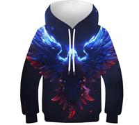 WWJLRLXTO Eagle 3D Printed Goshawk Pullover Hoodie Hooded Sweatshirt Unisex Top New Casual 5-16 Years 11-13Y