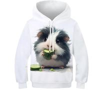 WWJLRLXTO Hamster 3D Printed Animal Pullover Hoodie Hooded Sweatshirt Unisex with Pocket 5-16 Years 10-12Y