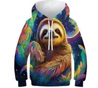 WWJLRLXTO Lovely Sloth 3D Printed Sloth Pullover Hoodie Hooded Sweatshirt Boys Girls Hoodie Fashion For Childrens for 6-16 Years 10-12Y