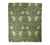 WWOOPLL William Morris Home Decor Throw Blanket, Green Art Nouveau Floral Warm Soft Cozy Flannel Bed Blankets for Bed, Couch, Sofa and Chair, Comfort for Kids, Teens, and Adults, 150x200cm