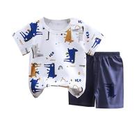WWricotta Children's Short Sleeve Short Pants Set Pure Girls Summer Clothes Boy T Shirt Baby Baby Clothes Children's Clothes Infant Top Blue