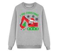 WWricotta Kids Christmas Sweatshirt Boys Girls Xmas Santa Dinosaur Graphic Shirt Toddler Long Sleeve Pullover Outfit Tops Grey