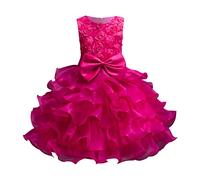 WWricotta Kids Dress Girls Birthday Long Elegant Sleeveless Mesh Flower Girl Dresses Wedding Kids Shining Dress Girls 1 Yr Old Baby Girl Birthday Dress Hot Pink