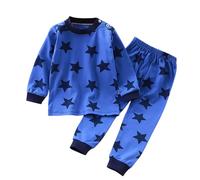 WWricotta Little Boys Girls Pajamas Dinosaur Animals 2 Piece Train Toddler Kids Cartoon Sleepwear Fall Clothes Set Sleepers Toddler Girl Blue