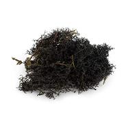 WWS War World Scenics WWScenics Lichen Black Moss Model Foliage 60g - Model Railway Wargame Scenery Landscape Modelling Trees Bushes Hedges Diorama Basing Material