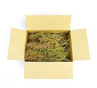 WWS War World Scenics WWScenics Seafoam Trees Box Mixed Size | Model Scenery
