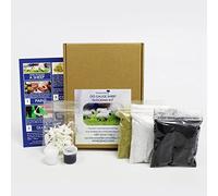 WWScenics OO Gauge Sheep Flocking Kit with Pro Grass Box Applicator | Model Railway Resin Miniature