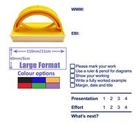 WWW & EBI Feedback, Presentation & Effort Grades, Next Step Teacher Assessment Stamp - Large Format School Stamp. Ideal for Science / Maths Subjects. Available in Red, Blue, Black, Green, Violet Ink. (Blue)