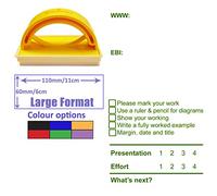 WWW & EBI Feedback, Presentation & Effort Grades, Next Step Teacher Assessment Stamp - Large Format School Stamp. Ideal for Science/Maths Subjects. Available in Red, Blue, Black, Green, Violet Ink.