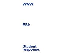 WWW/EBI/Student Response Feedback Teacher Stamp - (What Went Well/Even Better If/Student Response) (Blue Ink)