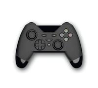 WX-4 WIRELESS RF CONTROLLER (Nintendo Switch)