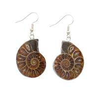 WXKAGF 1 Pair Natural Snail Ammonite Spiral Whorl Drop Earrings Conch Shell Fossils Nature Color Animal Pendant Dangle Hook Earring