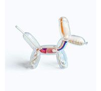 WXKAGF Balloon Dog Bone Perspective Anatomical Model 4D Creative Home Decoration Decor Statue Figure,A Skeleton Model