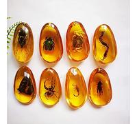 WXKAGF Real Insect, Insect Paperweight Natural Insect Specimen Scorpion Crab Butterfly Amber Fossil With Insects Samples Stones Specimens Insect Specimen Double-sided Polished Amber Pendant