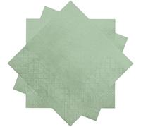 WXLDGHQ 300 Count Sage Green Beverage Napkins, 2-Ply, 10" x 10" Disposable Party Napkins for Dinner, Wedding, Birthday Party