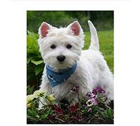 WXLSL 1000 Pieces Wooden Jigsaw Puzzles, Set For Kid Adult Develop Patience Reduce Pressure,Westie Dog