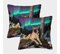 WXLWHR Belgian Malinois Cushion Covers Set of 2, Premium Polyester Throw Pillow Covers with Hidden Zipper, Premium Square Throw Pillow Cases, for Livingroom Couch Bed Sofa 45x45cm
